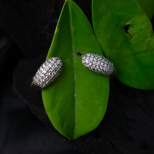 Enigmatic Elegance Clip Earrings - D118